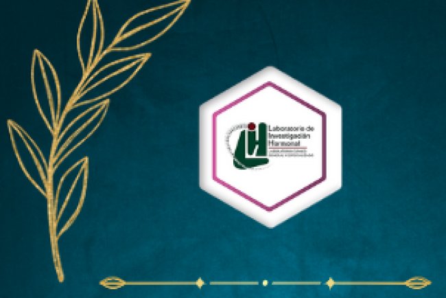 Fiesta Fin De Año 2024 LIH